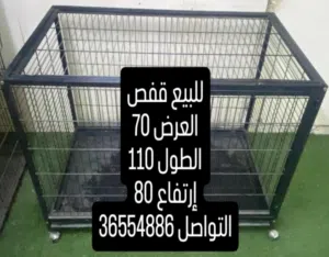 للبيع قفص نظيف جيد