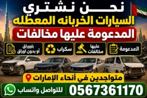 شراء السيارات كاش