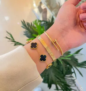 الاكسسوارات