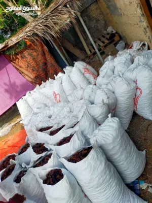 جواني سح نفيعه للبيع احجام ممتازة