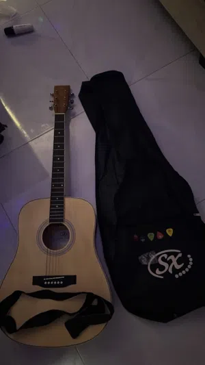 SX Professional Acoustic Guitar for Sale