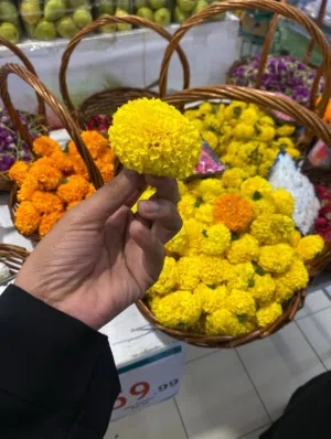 Marigold flowers seeds
