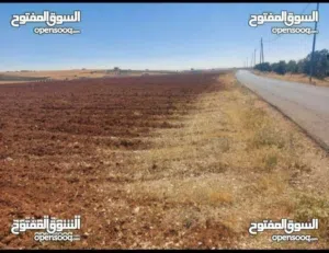 Farm Land for Sale in Mafraq Rhab