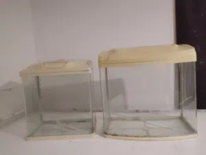 2 Pic of aquarium