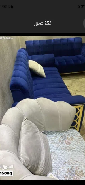 تخم 10 مقعد للبيع