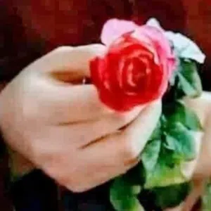 علاء العامري 