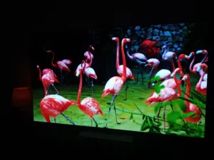 شاشة C5 OLED LG بحجم 77 بوصة مدعومة ىتقنىة evo OLED المعتمدة على معالد Al a9 Gen8 Processor الذى يست
