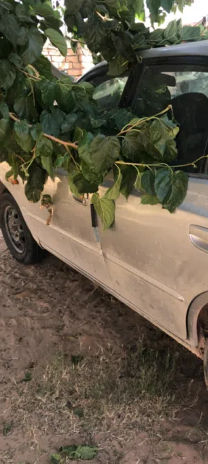 Used Hyundai Other in Tripoli