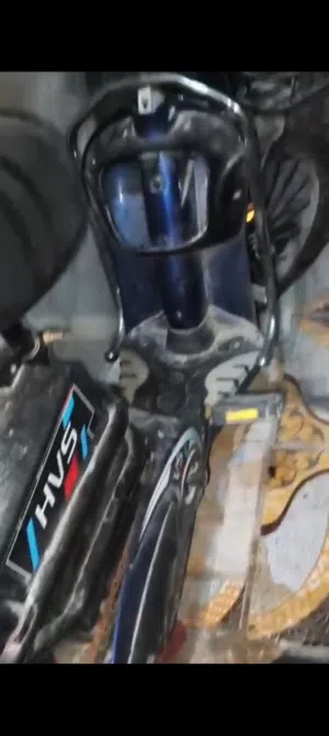 مكلف بل نشر