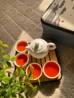 طقم شاي كونغ فو للرحلات و الهدية بلون الأبيض و الأسود مع حقيبة