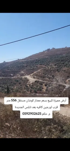 Residential Land for Sale in Nablus New Nablus
