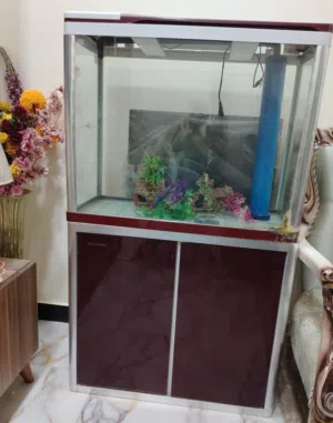 حوض سمك قطعتين