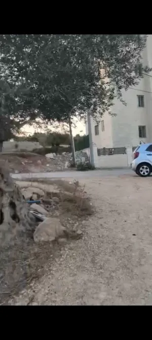 ارض للبيع في منطقه جفنا مساحه 530 متر عاليه مربعه مستوه واحد