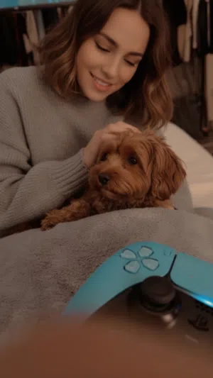 Adorable teacup maltipoos