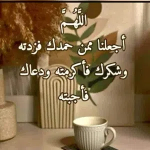 حمزه الذيب 