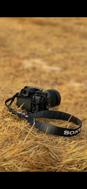 Body Sony A7rV