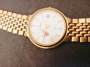 Others . Analog Quartz . Gold . New2