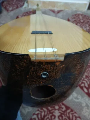 بزق تركي بغلمة للبيع