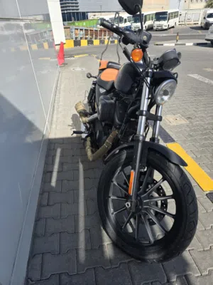 Harley Davidson Iron XL883 2015