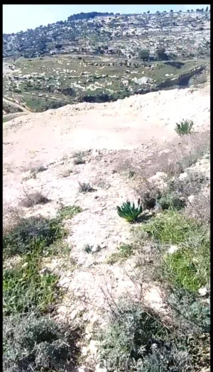 Residential Land for Sale in Irbid Aban