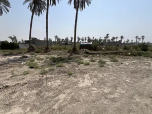 قطعه أرض للبيع الجزيره