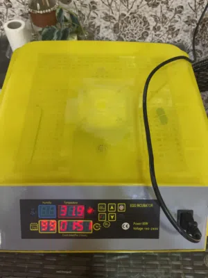 فقاسه دجاج تحمل 56 مستعمله مره واحده