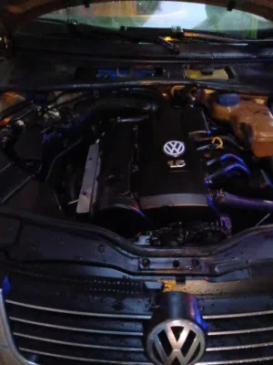 Used Volkswagen Passat in Alexandria