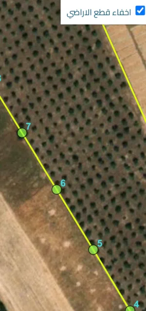 Farm Land for Sale in Salt Al Subeihi