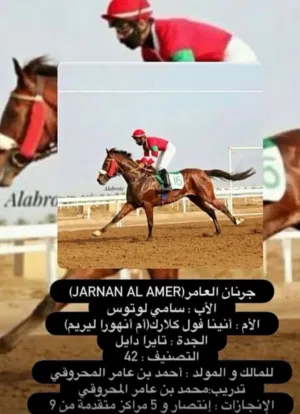 حصان عربي للبيع