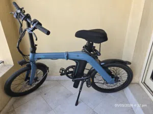 Fiido D11 Folding E-Bike