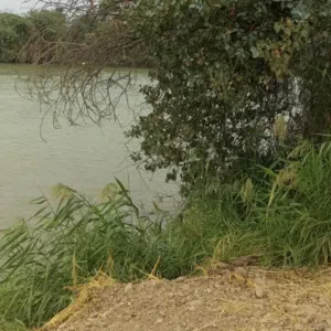غازي حسين 