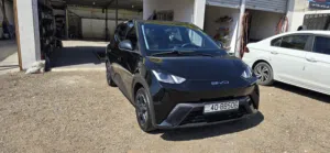Used BYD Seagull in Amman