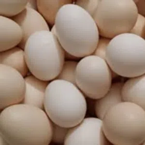 متاح بيض بلدي