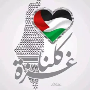 امير البطوش 
