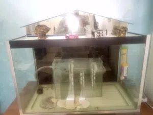 حوضين سمك اكبار للبيع