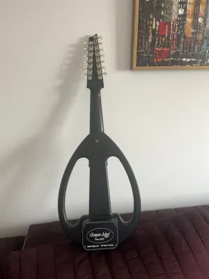 Electric Oud