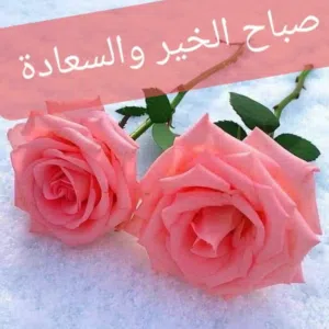 يوسف يوسف