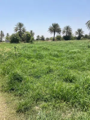 ارض زراعيه + بيت العمر جديد السعر مليونين ونص قابل للتفاوض للجاد بحدود المعقول