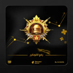 Pubg Accounts and Characters for Sale in Muscat