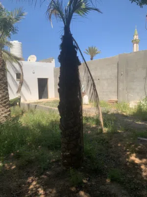قطعة ارض في تاجوراء كوبري الشاحنات