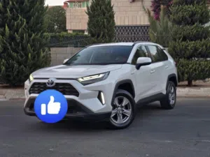 راف فور 2022