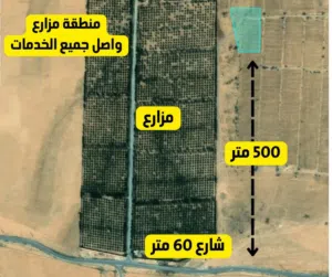 Farm Land for Sale in Amman Dab'a