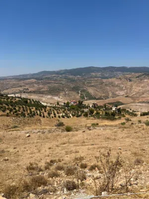 Farm Land for Sale in Jerash Al-Mastaba