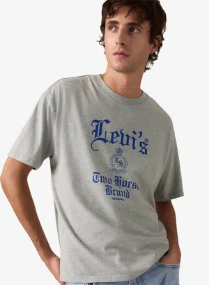 Levi's Boxy crew Neck T-Shirt