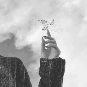 nnosh 
