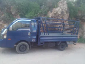 بكم لنقل الاثاث والكهربائيات وجميع مستلزماتكم داخل محافظة البلقاء وباسعار جيده