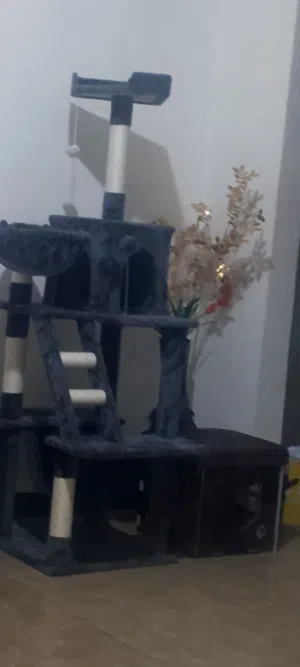 خداشه حجم كبير للقطط وبيت للقطط