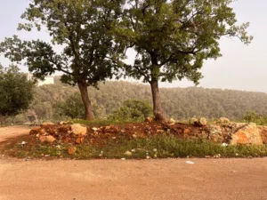 Residential Land for Sale in Amman Abu Al-Sous