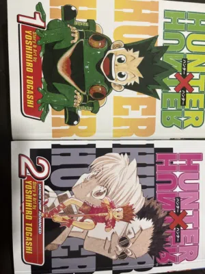 Hunter x hunter manga