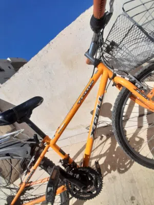 بسكاليت ياباني للبيع بسعر مغري جدا